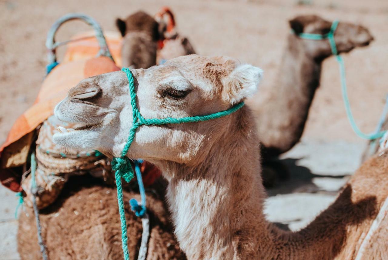 Atana Stay Al Ashkara Al Sharqiyah Exteriér fotografie